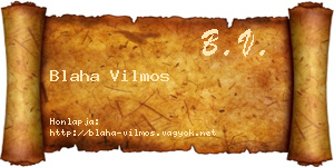 Blaha Vilmos névjegykártya
